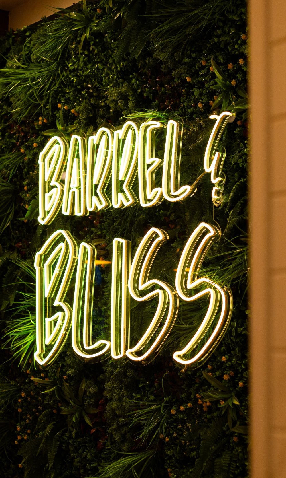 Barrel Bliss Soft Opening Nigh 3 Of 150