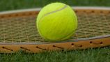 Grass Sport Green Yellow Sports Equipment Tennis 658692 Pxhere Com