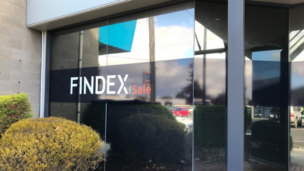 Findex Sale 1