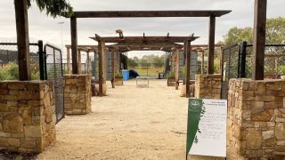 Seed Community Garden