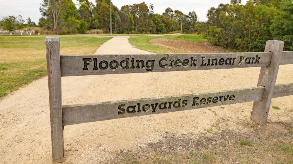 Flooding Ck Reserve 1