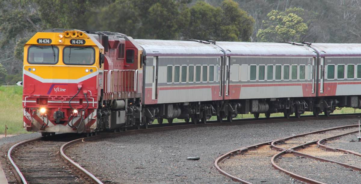 are dogs allowed on vline trains