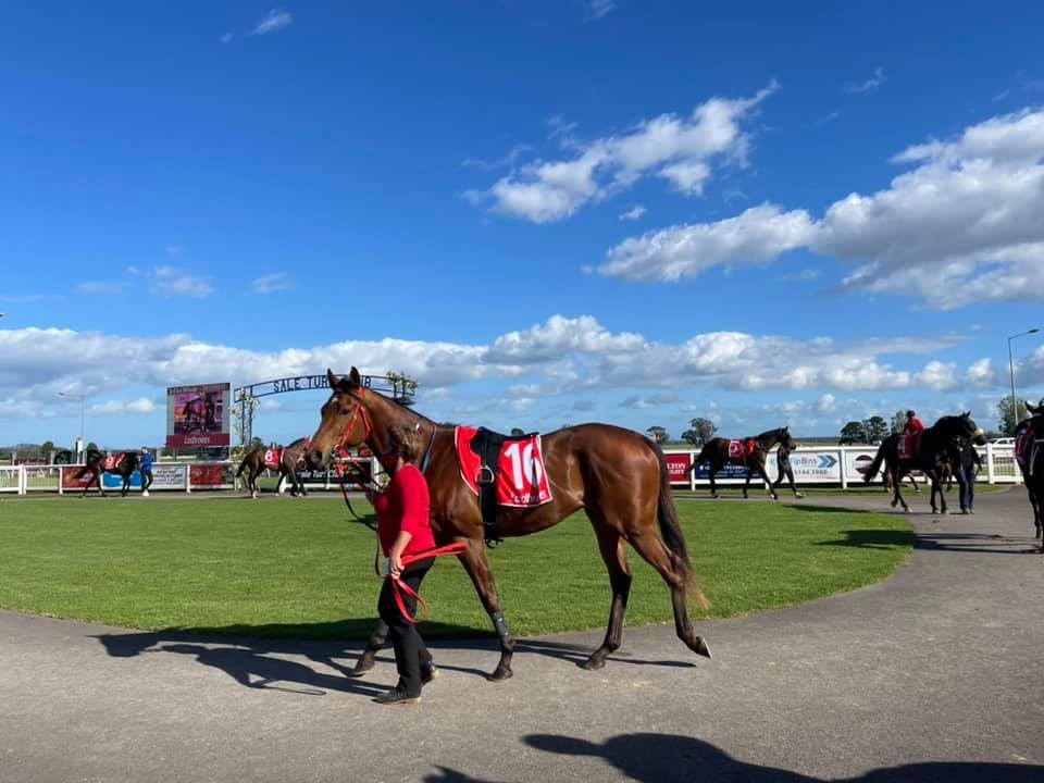 Sale Turf